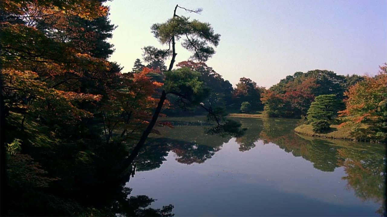 Dream Window: Reflections on the Japanese Garden backdrop