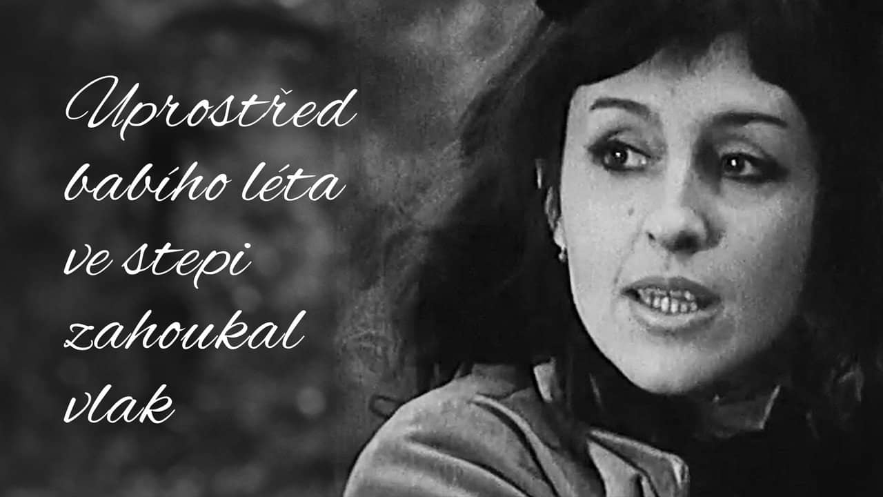 Uprostřed babího léta ve stepi zahoukal vlak backdrop
