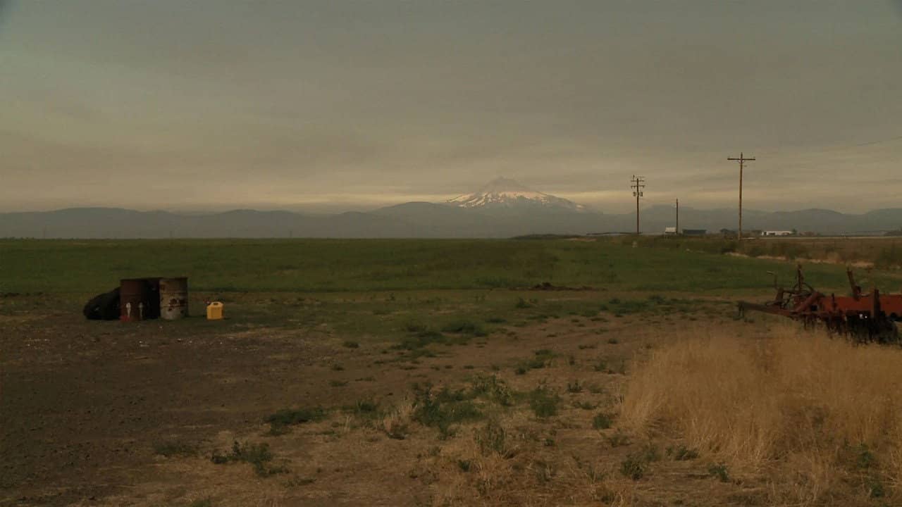 L. Cohen backdrop