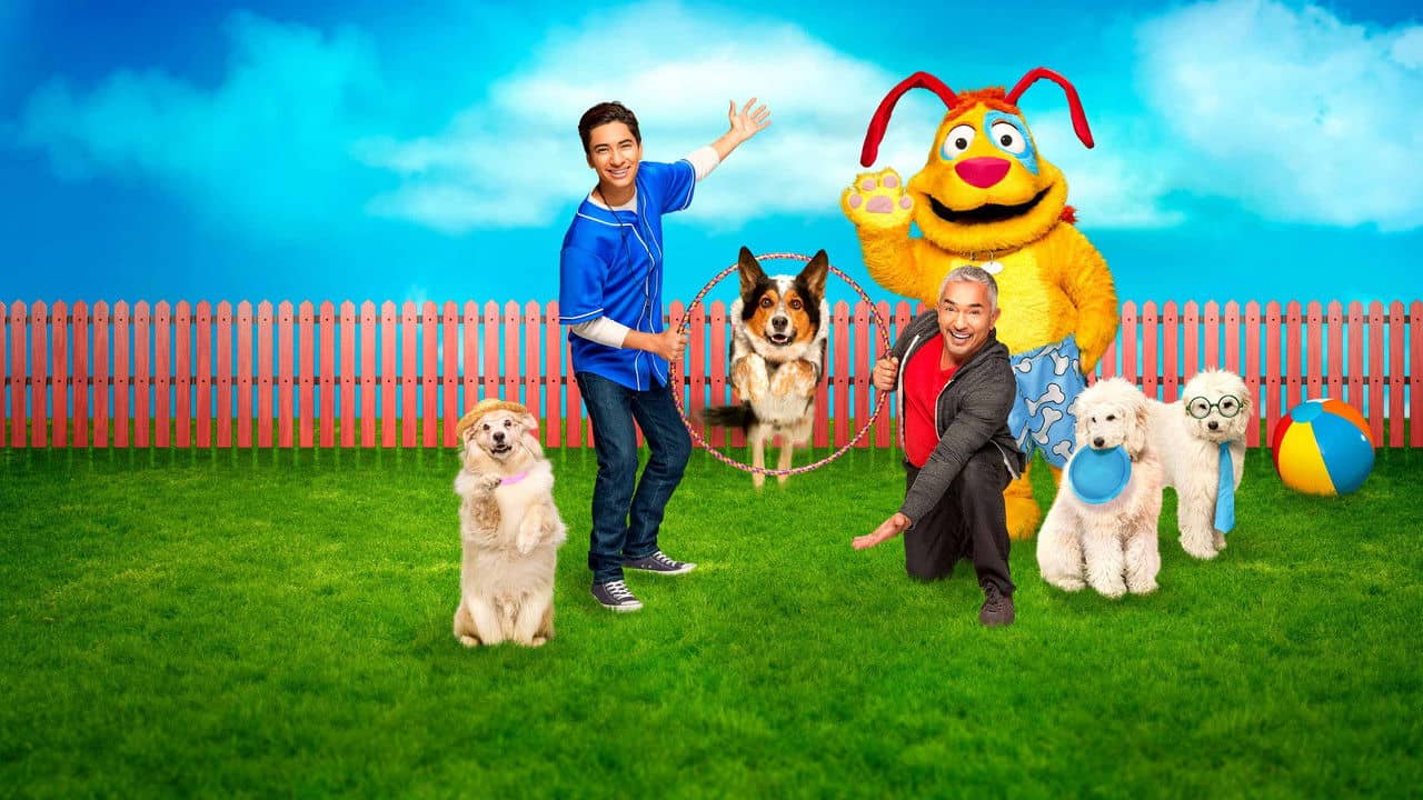 Mutt & Stuff backdrop