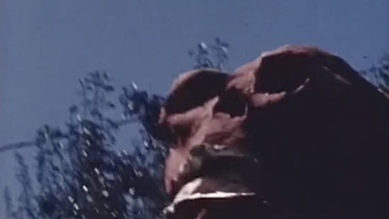 Captain America Battles the Red Skull backdrop