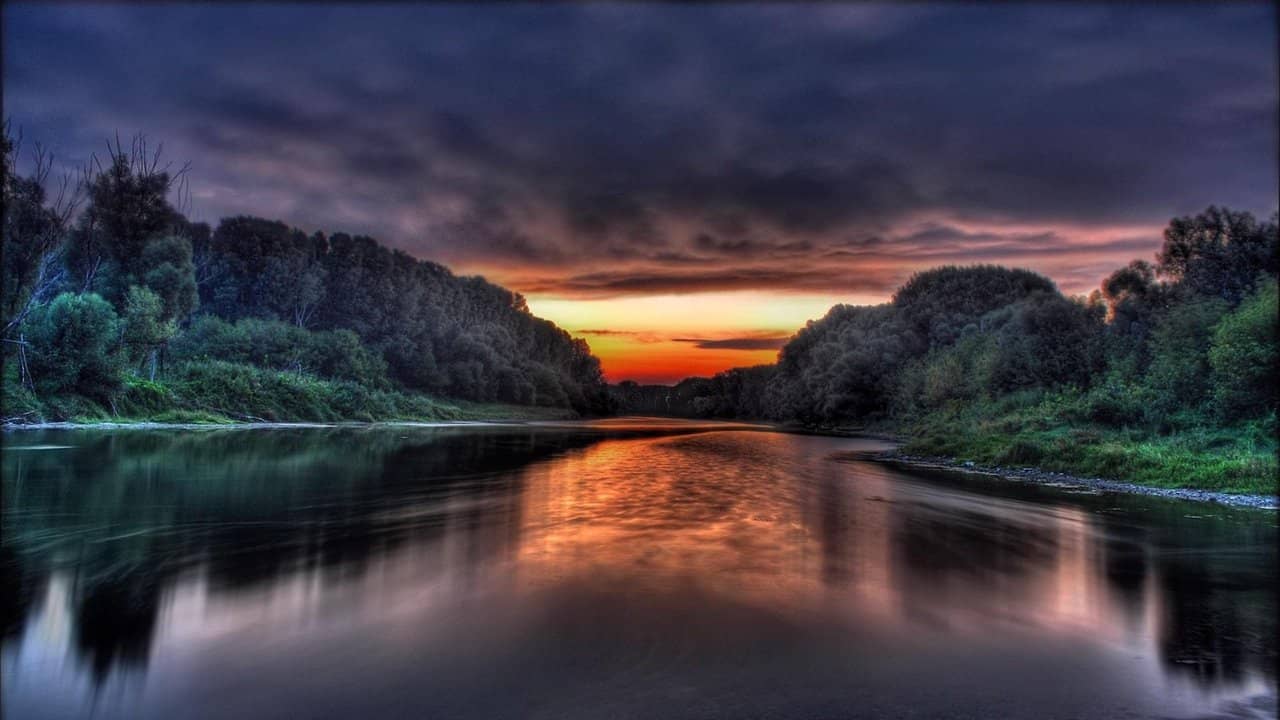 Amazonia backdrop