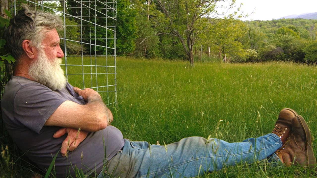 Peter and the Farm backdrop