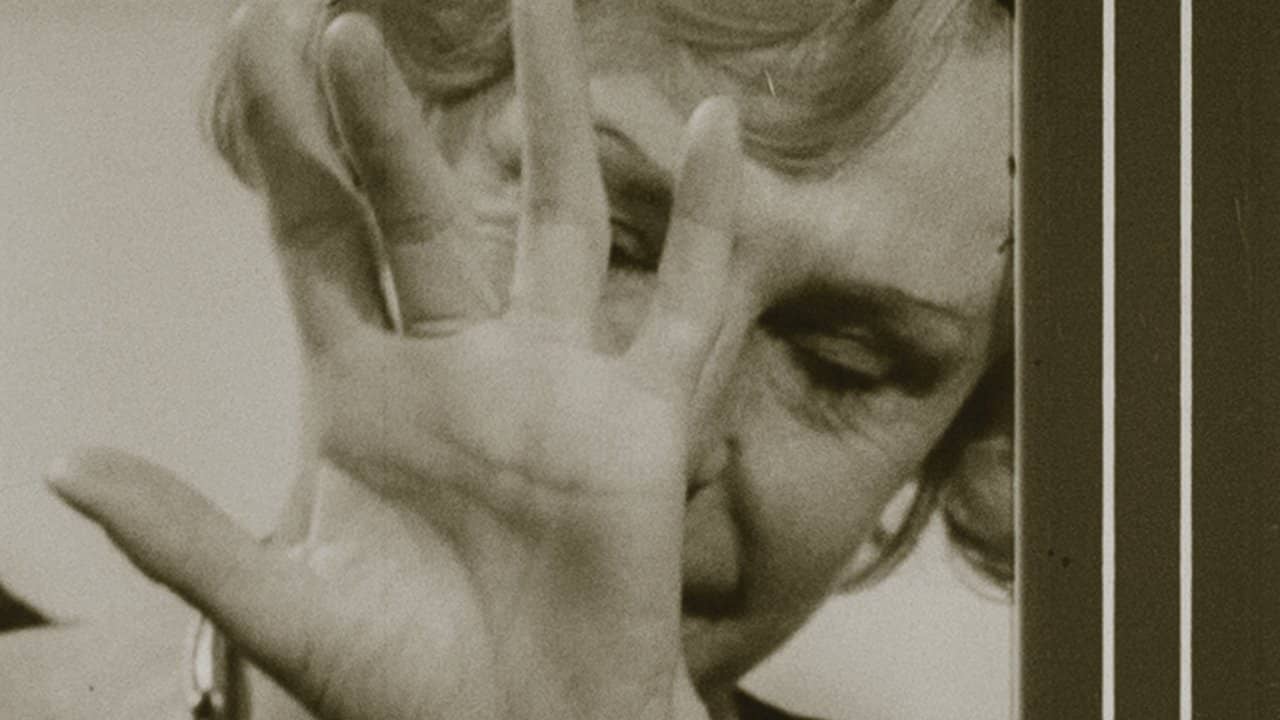 Riefenstahl backdrop