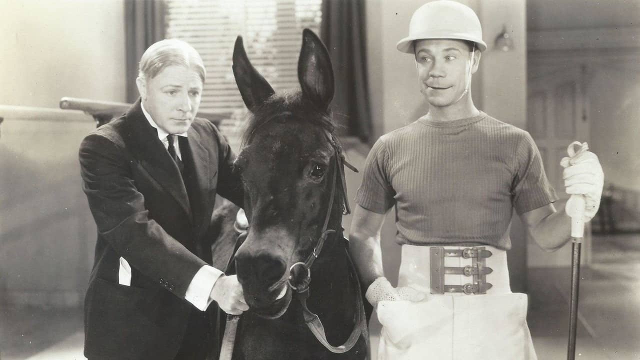 Polo Joe backdrop