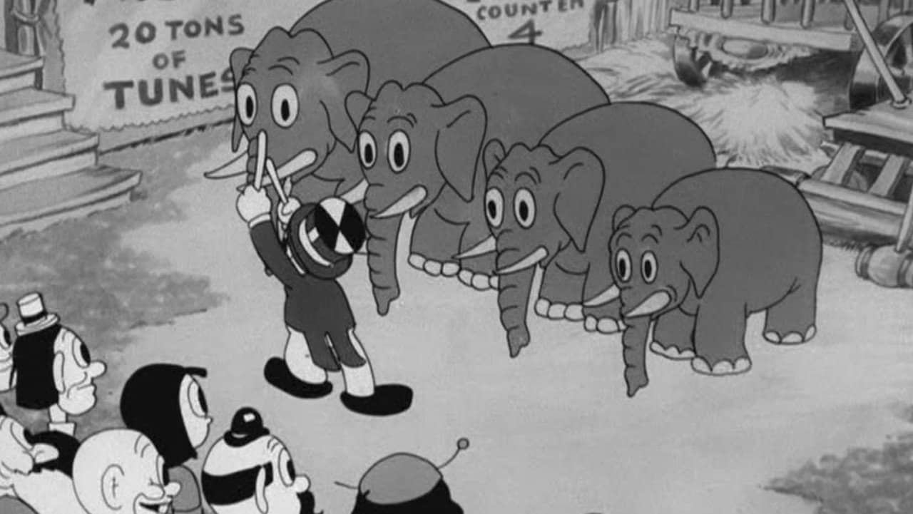 Buddy's Circus backdrop