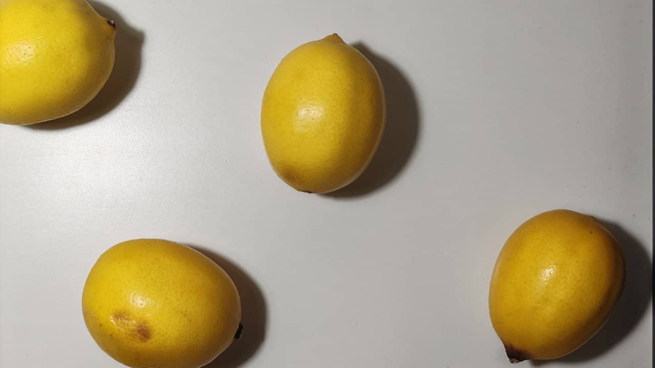 Lemons (Singular) backdrop