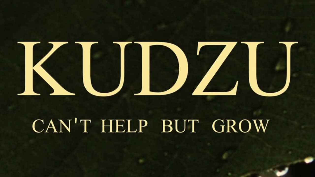 Kudzu Can't Help But Grow backdrop