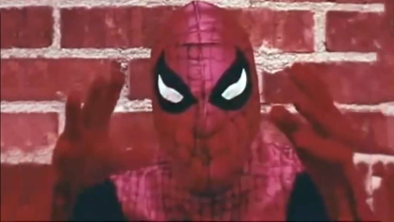 Spider-Man backdrop