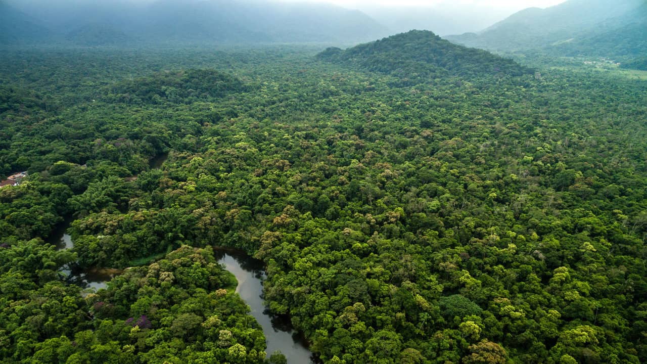Guyane : L'or de la discorde backdrop