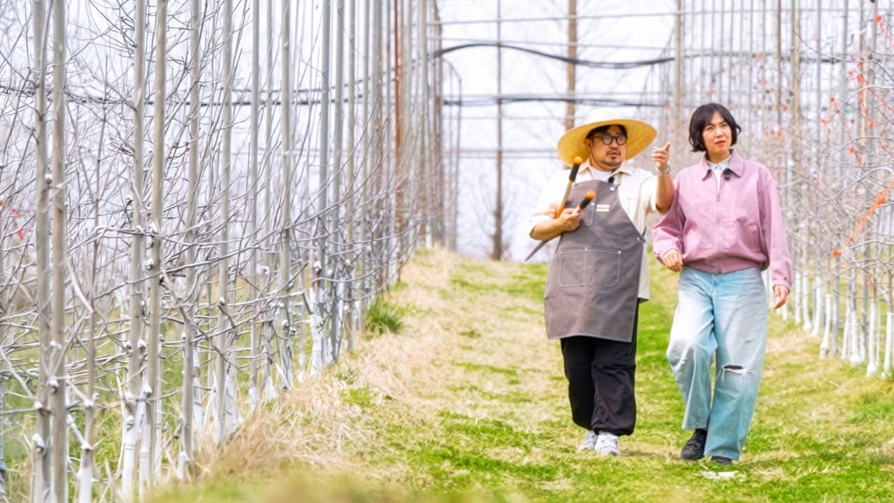 힙&힐링 여행 예쁜 추억 산더미 backdrop