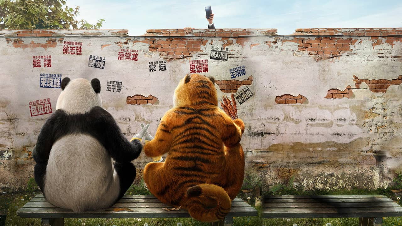 Follow Bear to Adventure backdrop