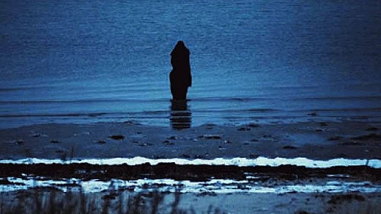 Steven Wilson: Catalogue / Preserve / Amass backdrop