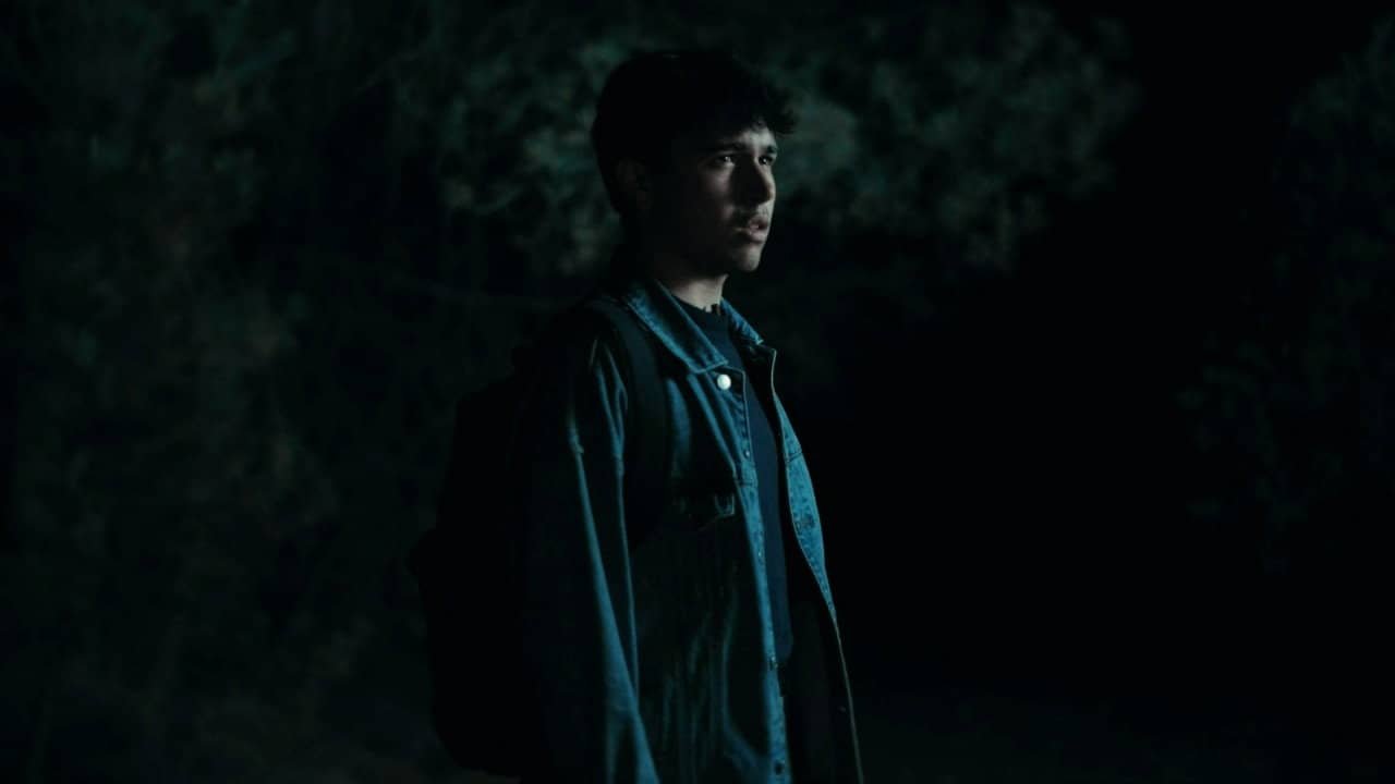The Echo Forest backdrop