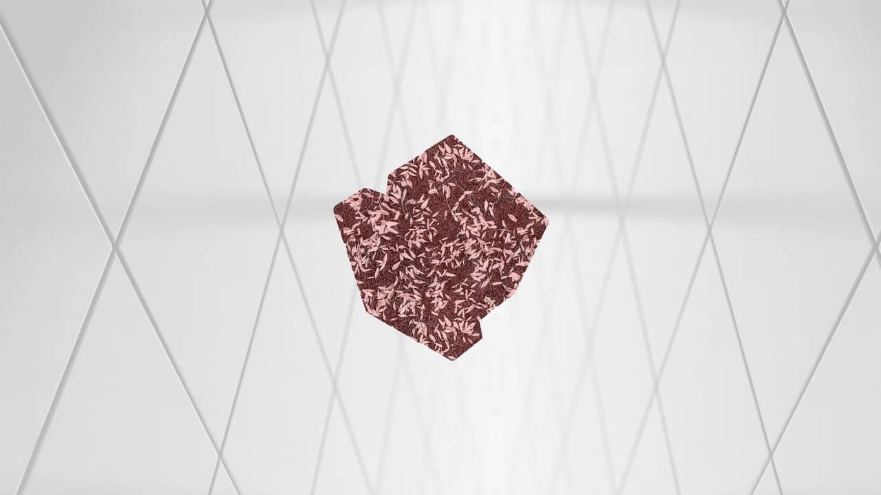 crhumness 3 backdrop
