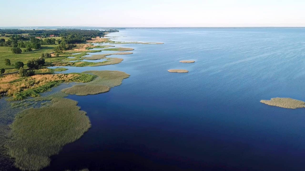 The Oder-Delta - A Wilderness without Borders backdrop