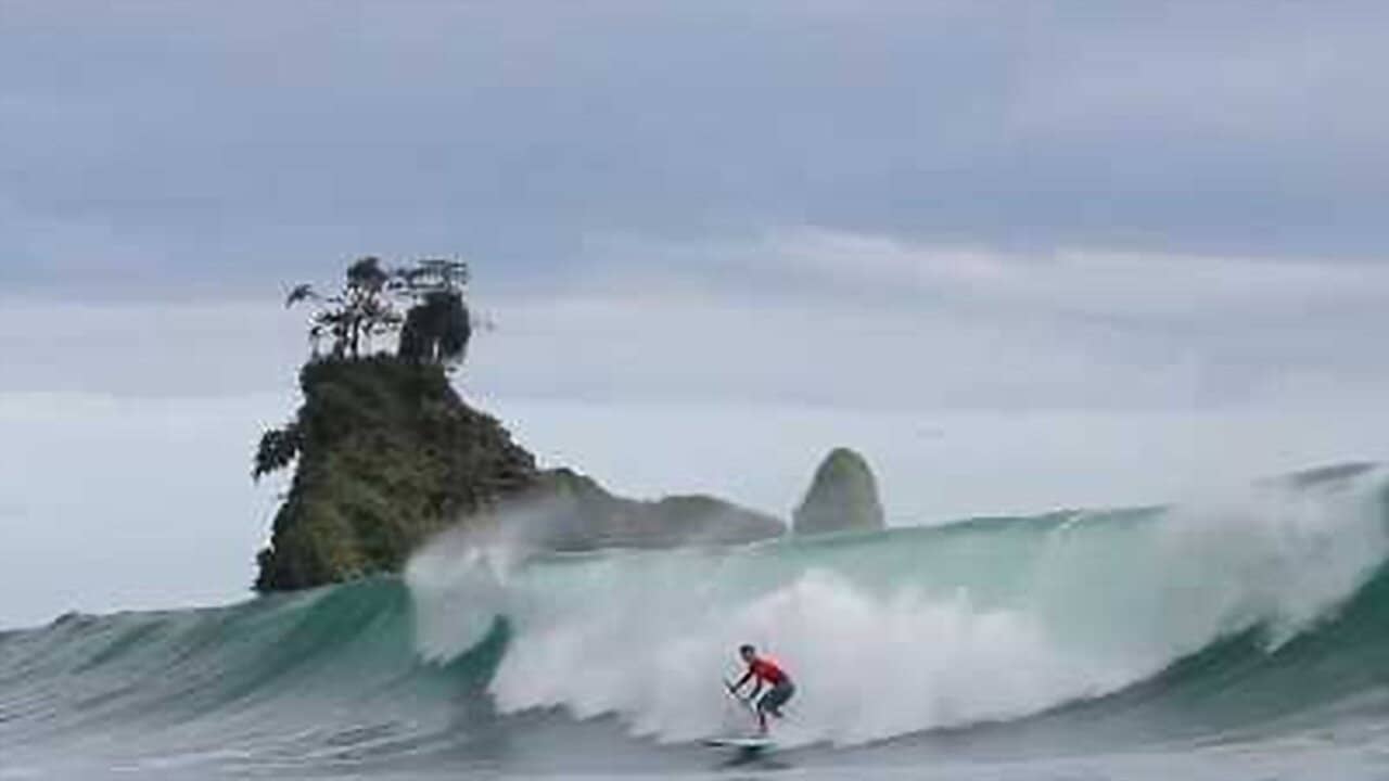 The Green Wave backdrop