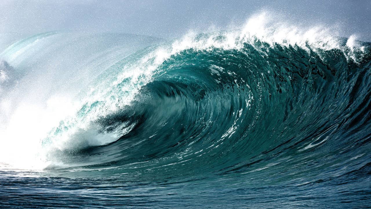 Tsunami: The Wave That Shook the World backdrop