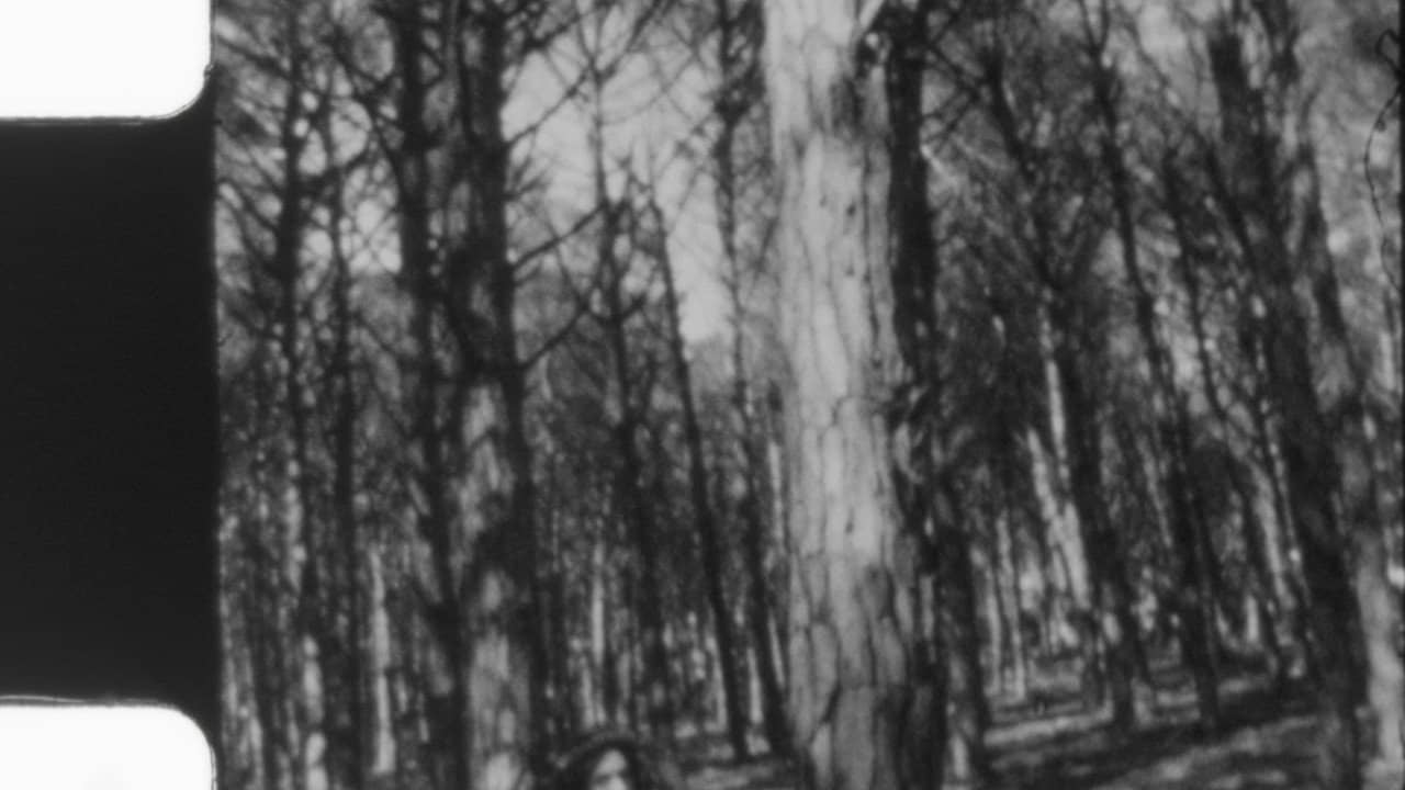 Portrait of Eve backdrop