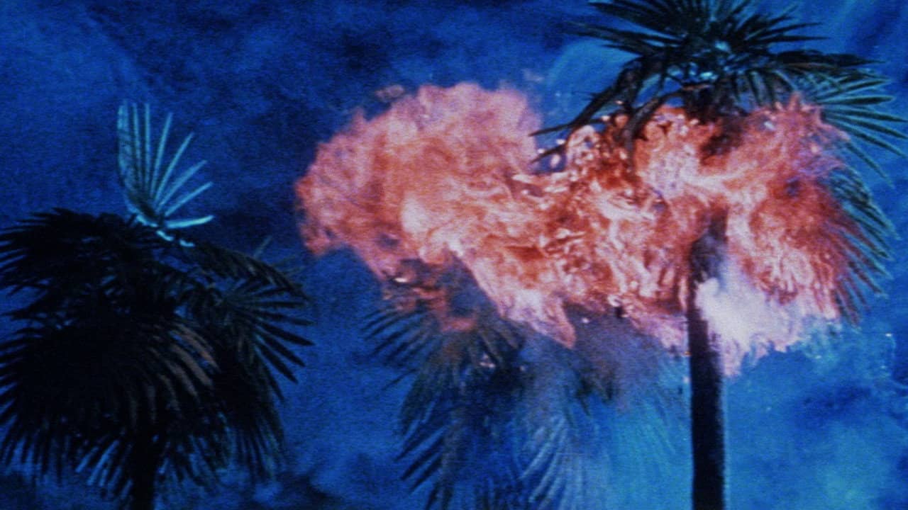 Land of Grief backdrop