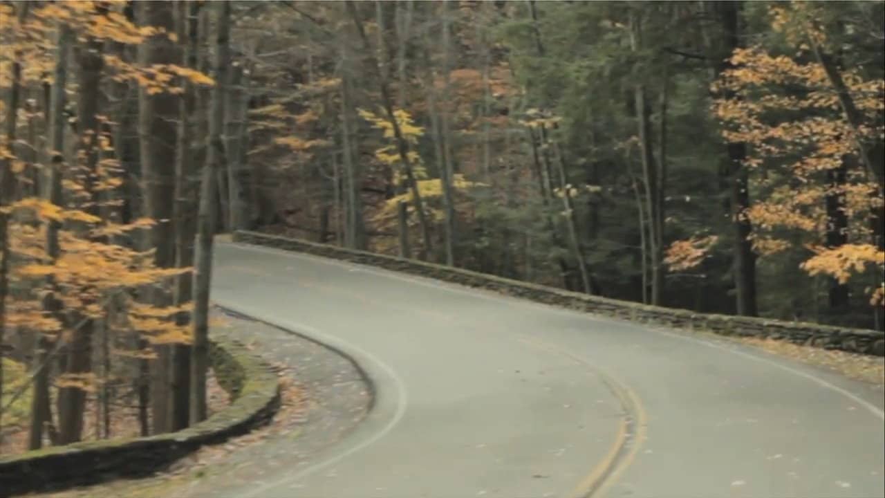 Fall backdrop