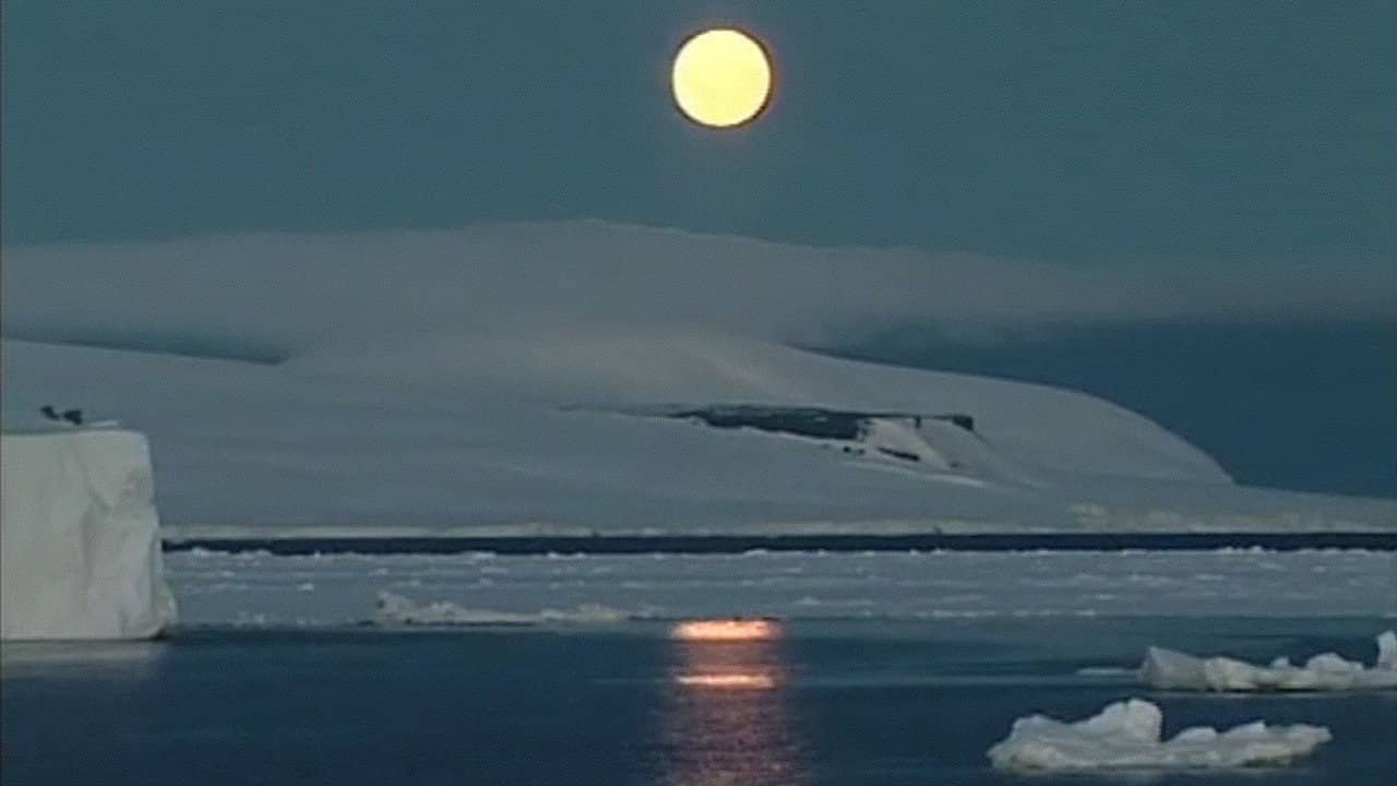Antarctica: A Frozen History backdrop