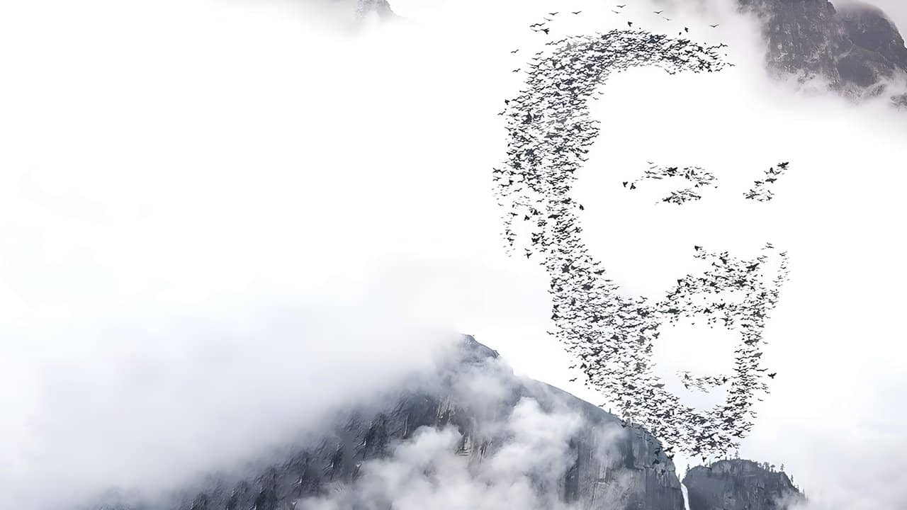 Dieudonné - L’Émancipation backdrop