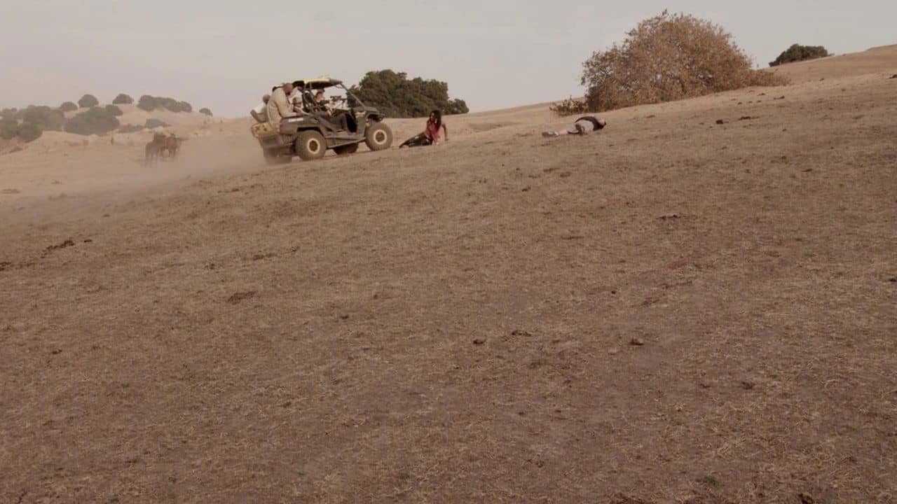 Hunting Season backdrop