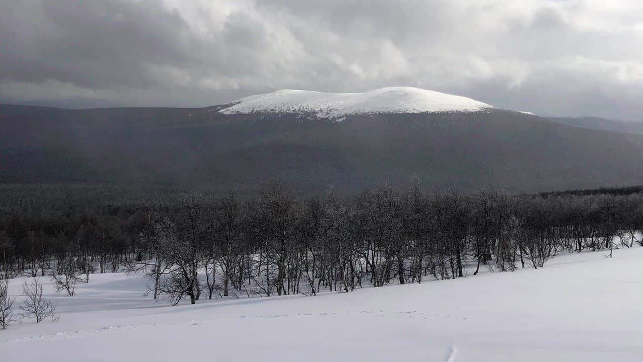 The Dyatlov Pass Incident backdrop