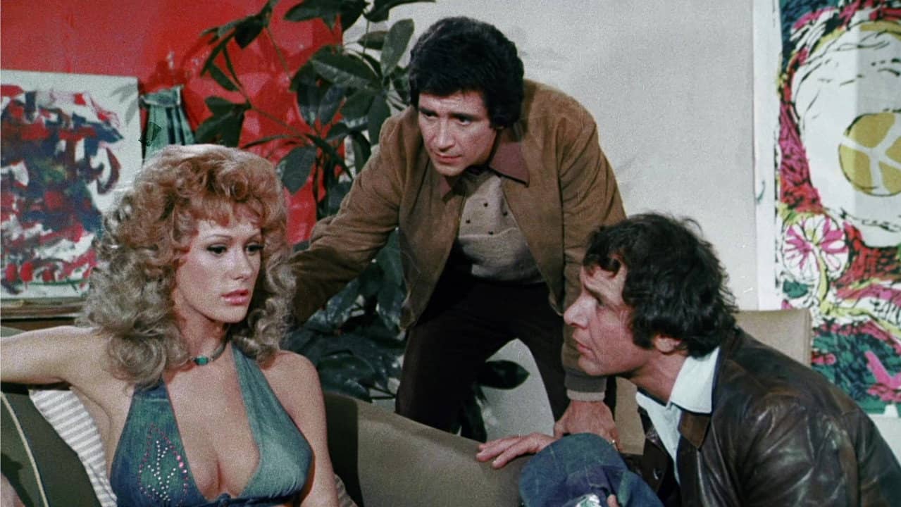 The Last Porno Flick backdrop