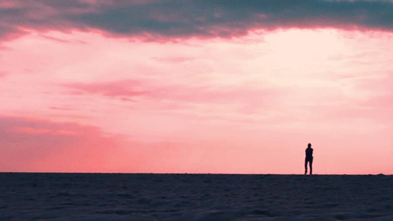 Scavenger backdrop