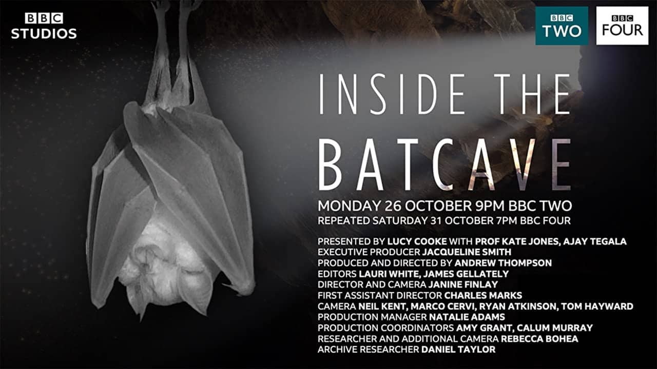 Inside the Bat Cave backdrop
