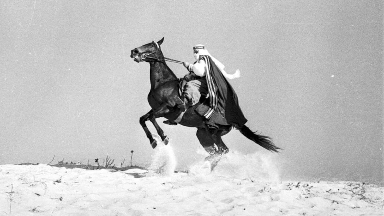 O Sheik de Agadir backdrop