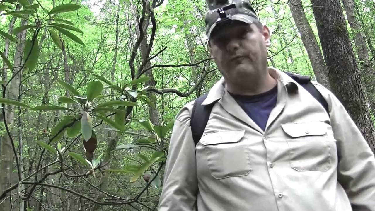 Bigfoot  Still Tracking a Legend backdrop