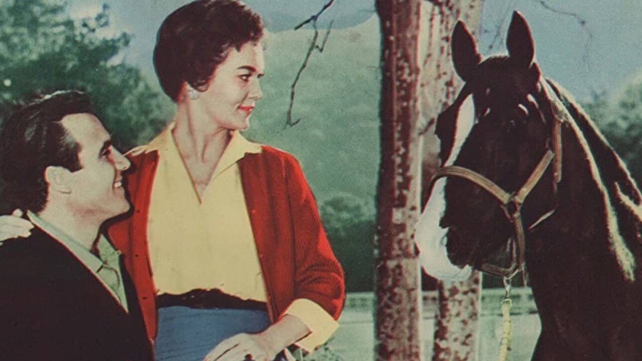The Sad Horse backdrop