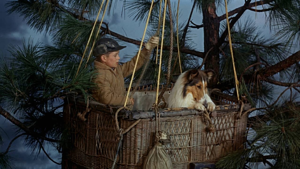 Lassie's Great Adventure backdrop