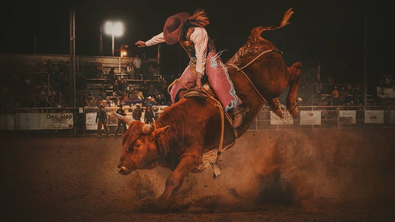 Not Her First Rodeo backdrop