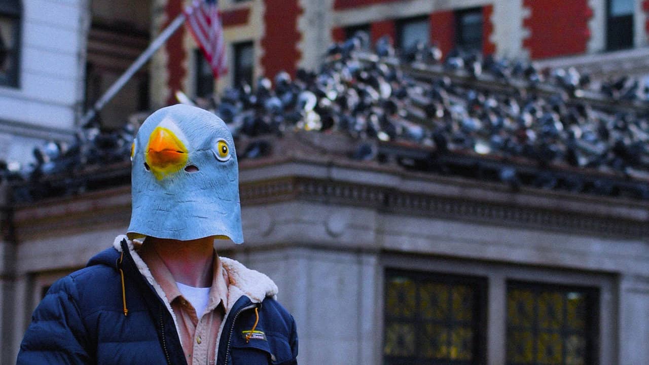 The Pigeon Man backdrop