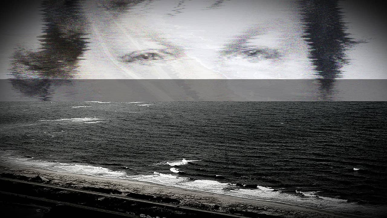 TMZ Investigates: Gilgo Beach Serial Murders: Missed Warning Signs backdrop