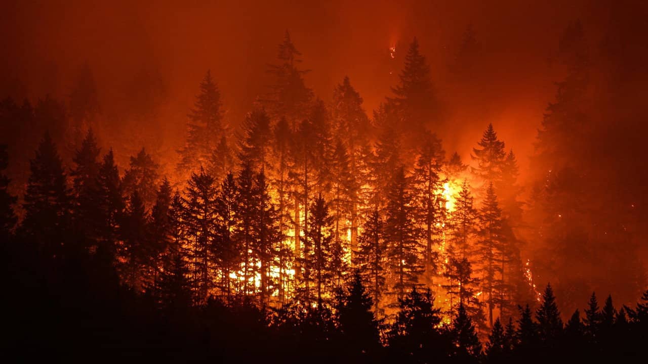 Disaster Deja vu backdrop