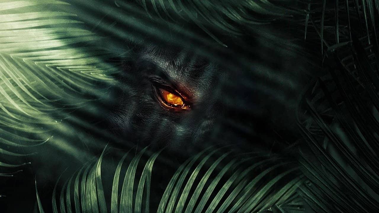 The Jungle backdrop