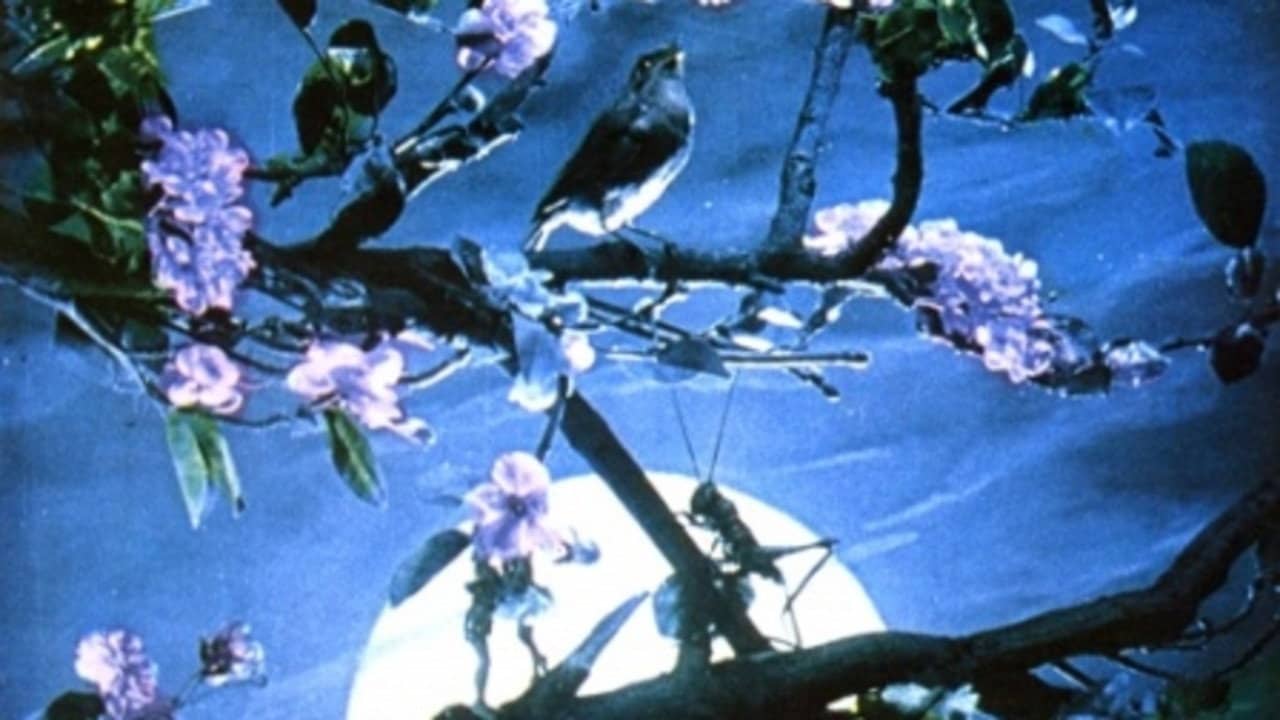 Voice of the Nightingale backdrop