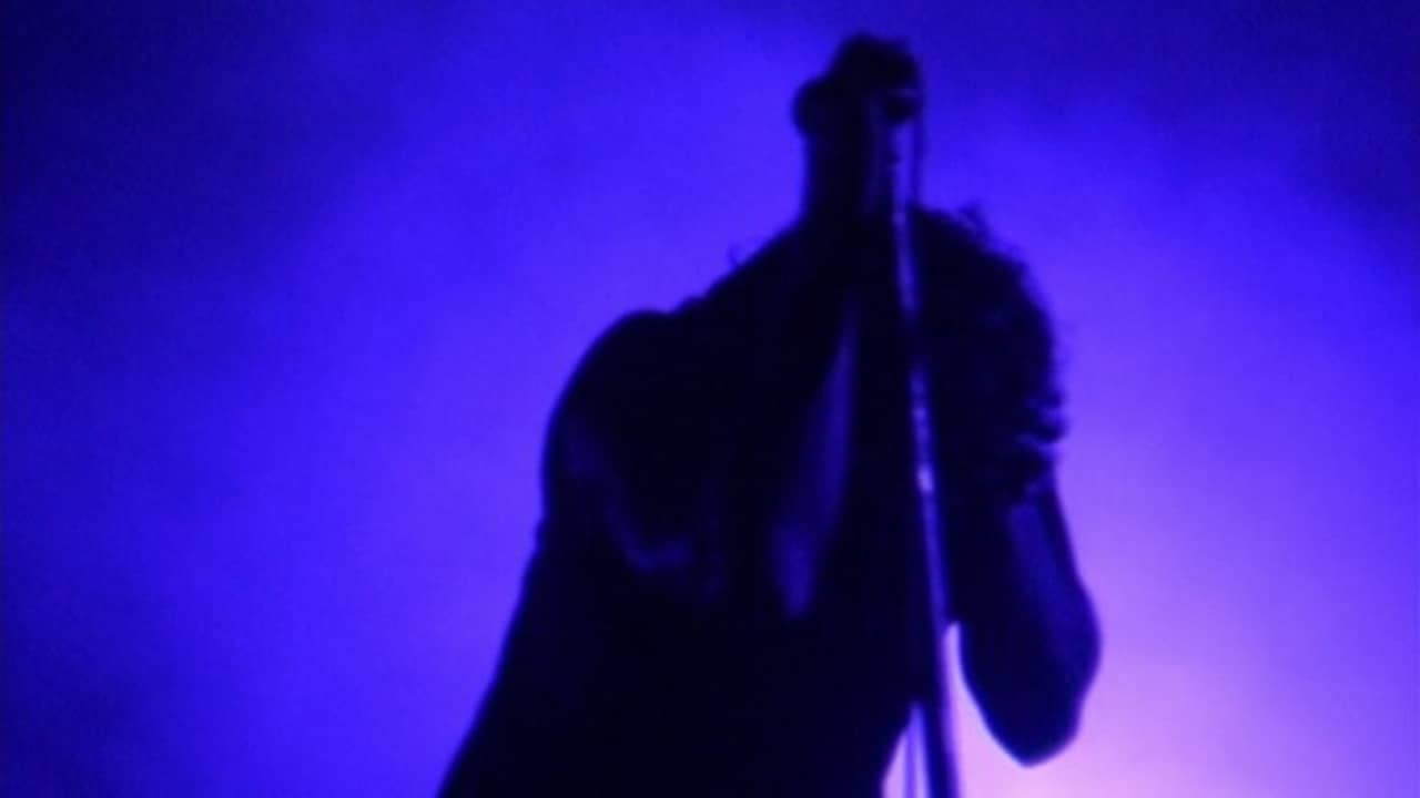 Nine Inch Nails: And All That Could Have Been backdrop