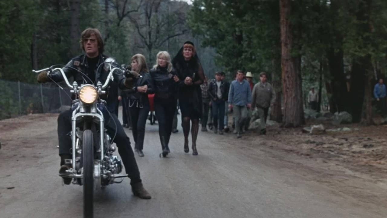 The Wild Angels backdrop