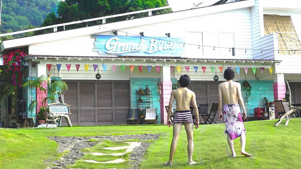 Grand Blue backdrop