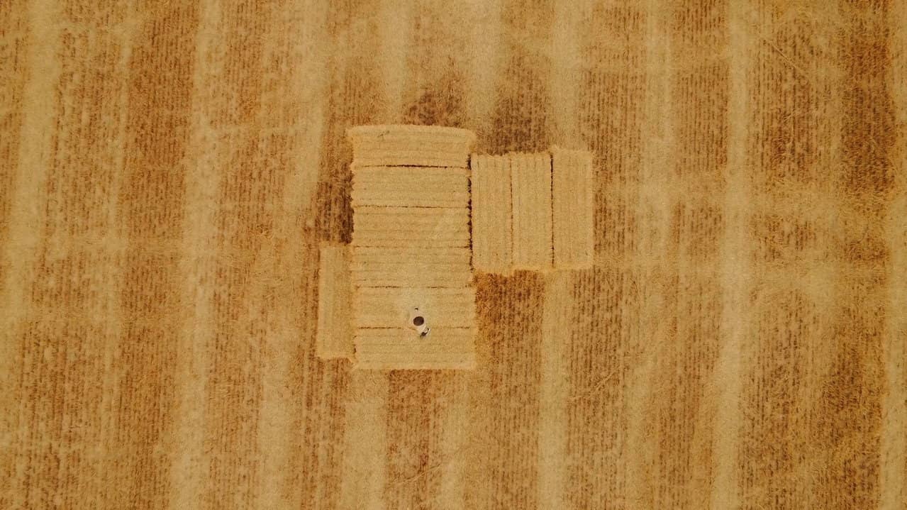 Katsu backdrop