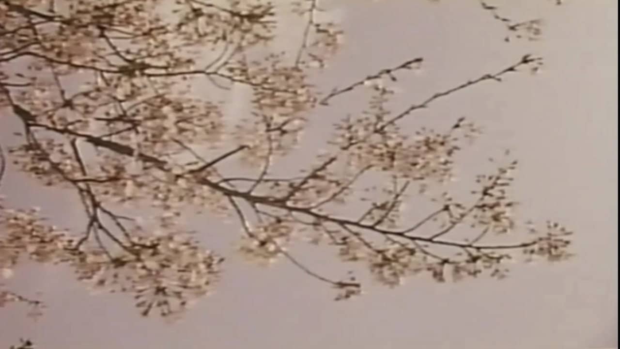 Wakaoku-sama: Futomono-biraki backdrop