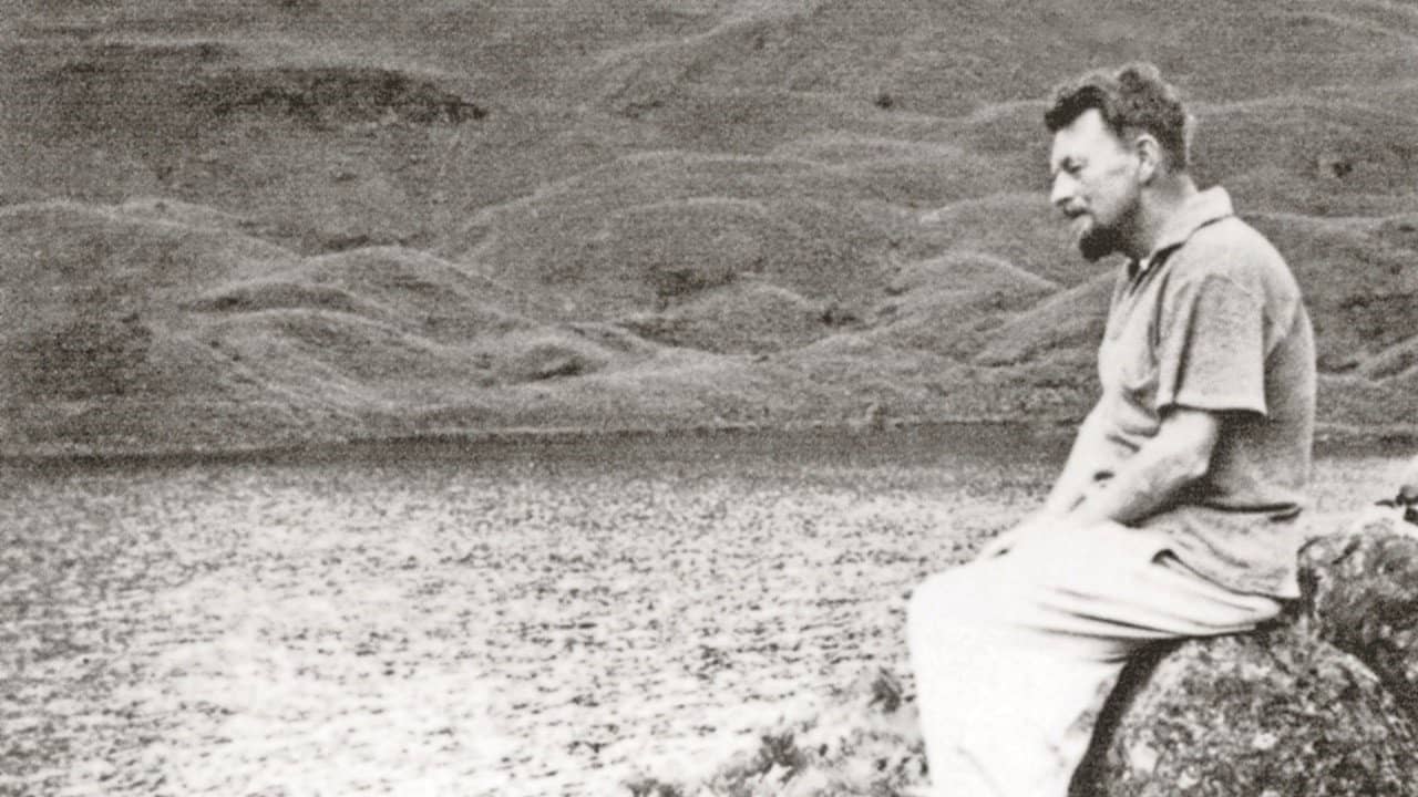 Volcano: An Inquiry into the Life and Death of Malcolm Lowry backdrop