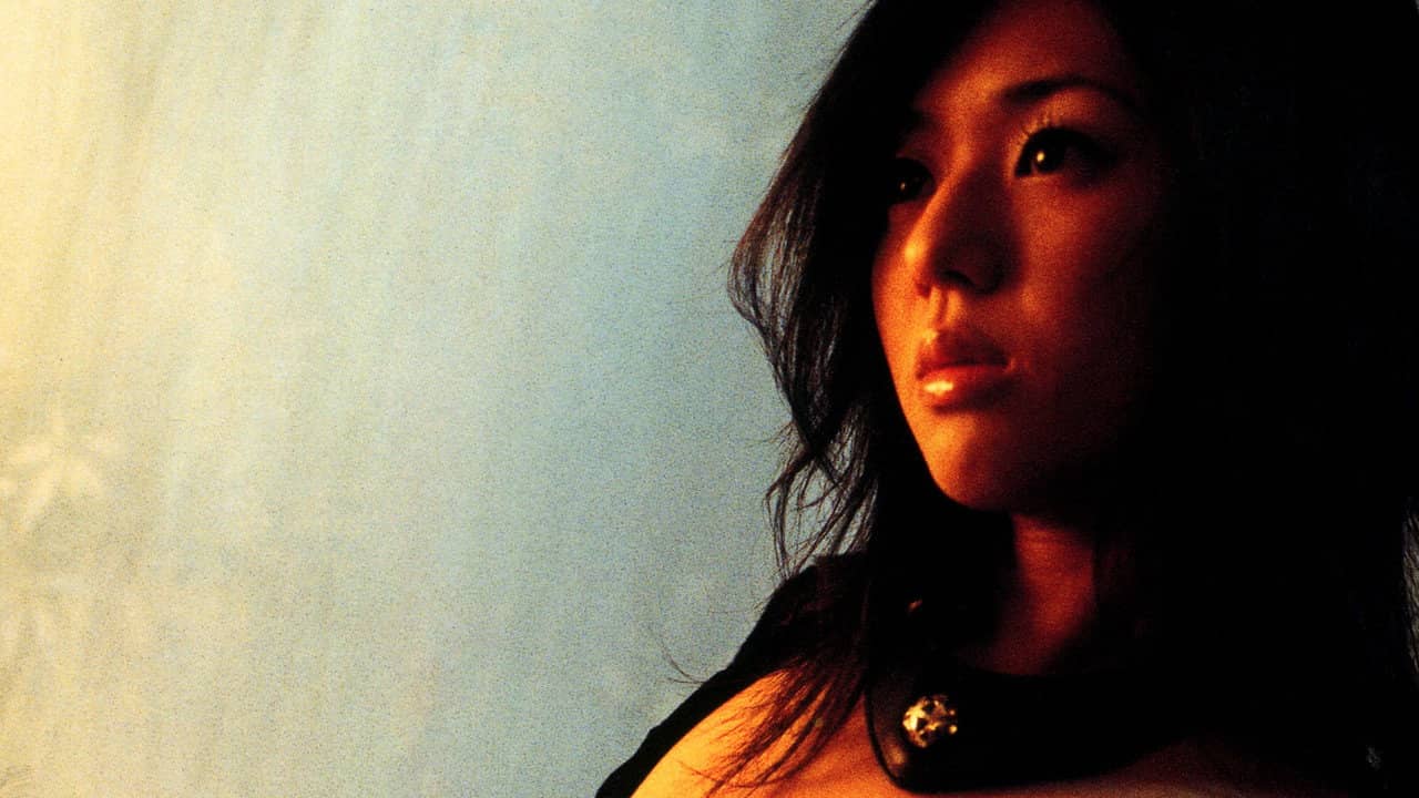 More And More! Sola Aoi backdrop
