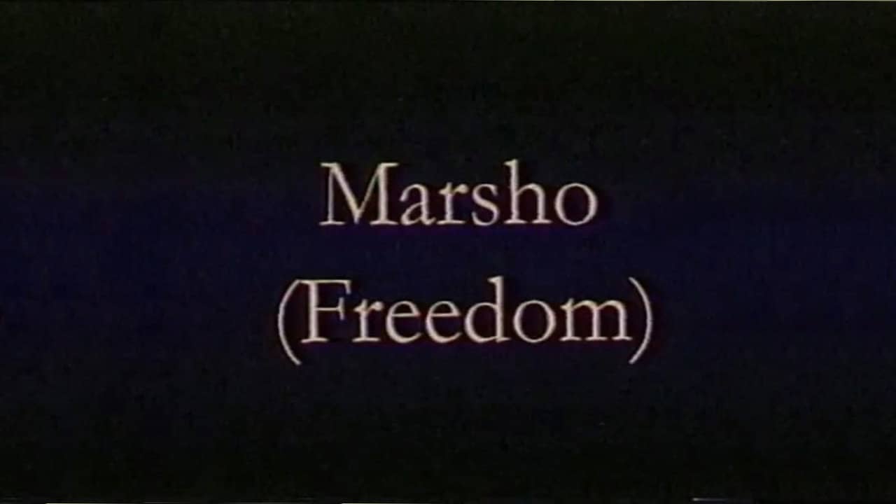 Freedom backdrop